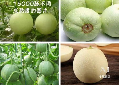 民国吃瓜福,吃瓜群众眼中的时代变迁